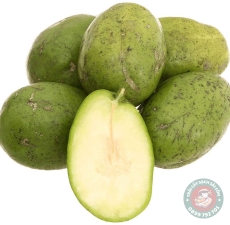Cóc cầy