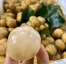 Bòn bon thái
