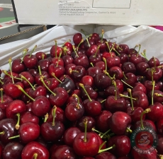 Cherry đỏ Mỹ 