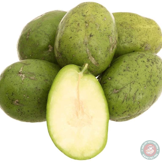 Cóc cầy