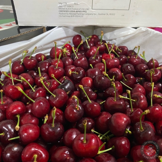 Cherry đỏ Mỹ 