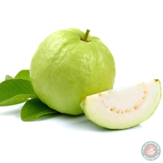  Ổi Nữ Hoàng