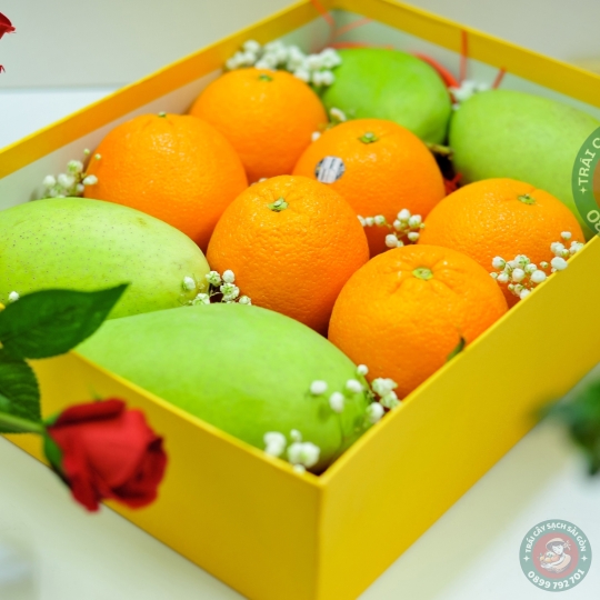 Combo quà tặng số 08