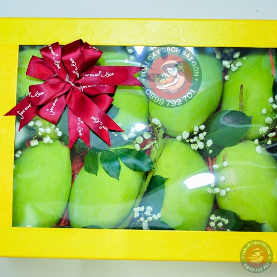 Combo quà tặng số 11 