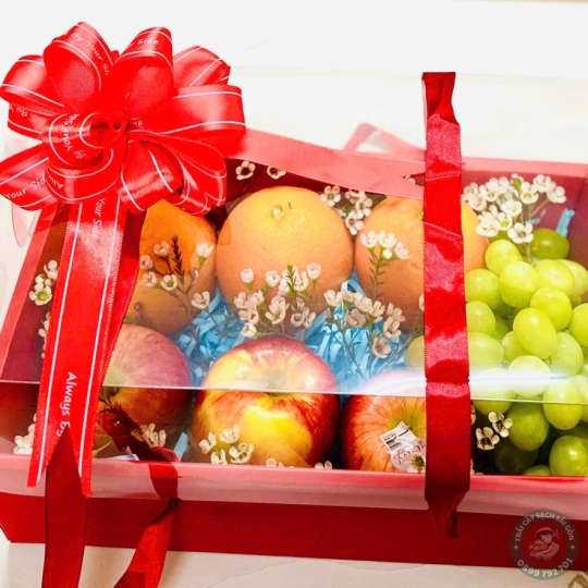Hộp trái cây biếu tặng số 25