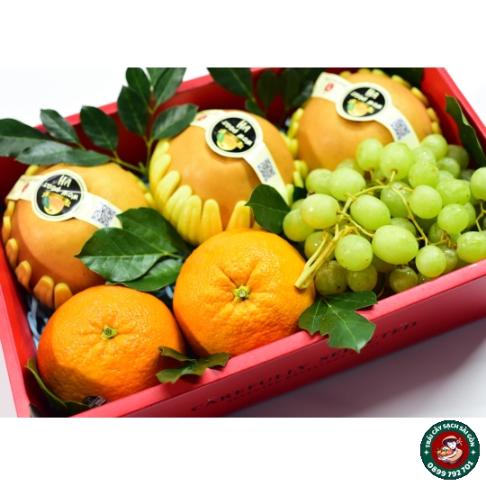 Combo quà tặng số 24