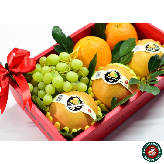Combo quà tặng số 24