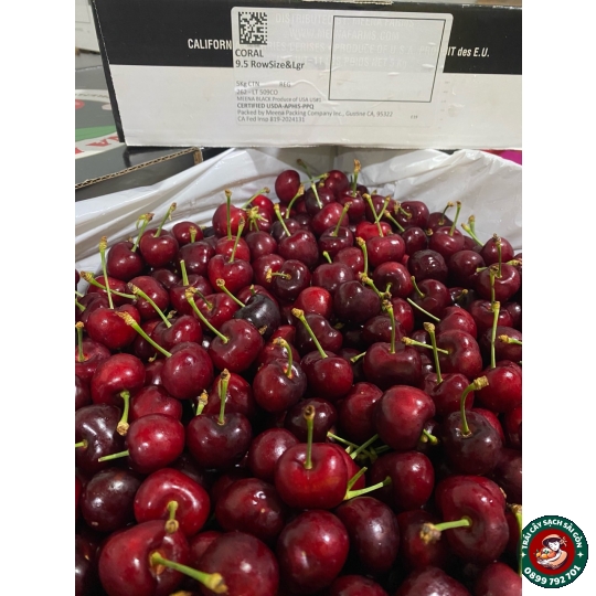 Cherry