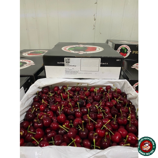 Cherry
