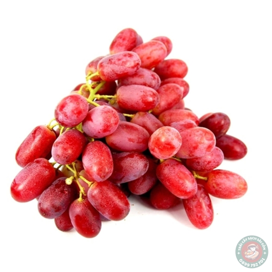 Nho móng tay đỏ không hạt