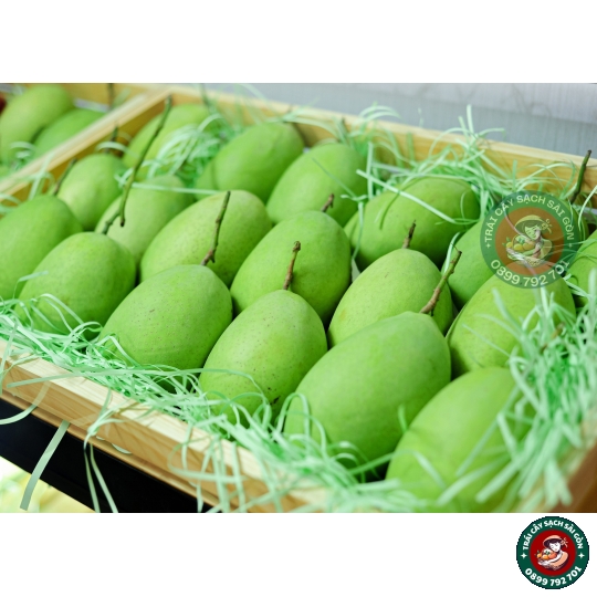Xoài cát Hòa Lộc  miền tây loại lớn