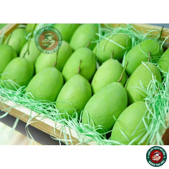 Xoài cát Hòa Lộc  miền tây loại lớn