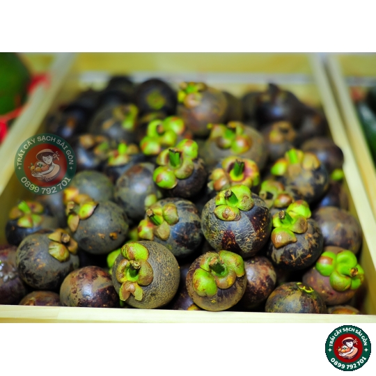 Măng Cụt Madagui Bảo Lộc