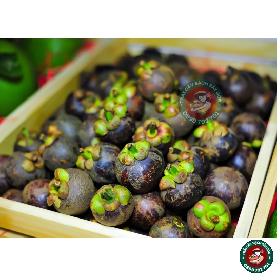 Măng Cụt Madagui Bảo Lộc