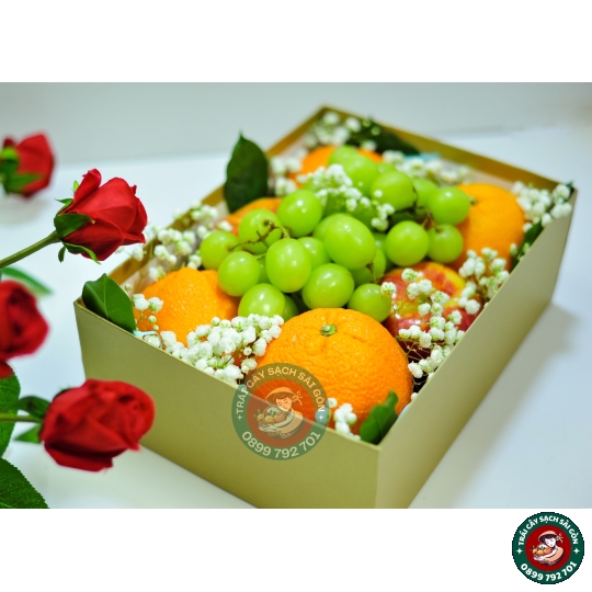 Combo quà tặng số 05