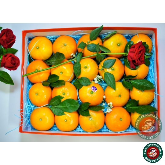 Combo quà tặng số 10