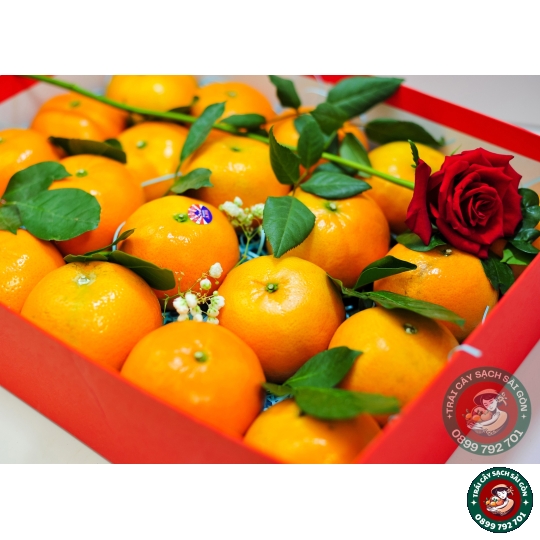 Combo quà tặng số 10