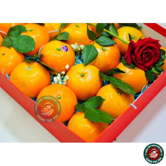 Combo quà tặng số 10