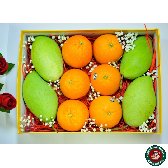 Combo quà tặng số 08