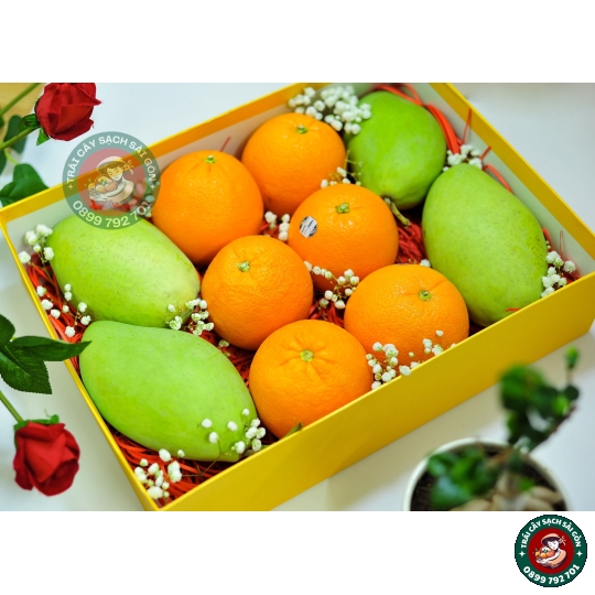 Combo quà tặng số 08