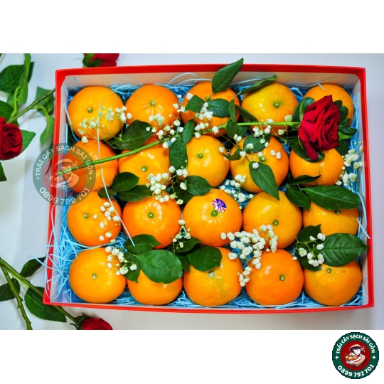 Combo quà tặng số 10