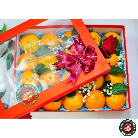 Combo quà tặng số 10