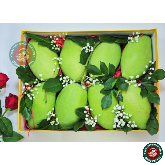 Combo quà tặng số 11 