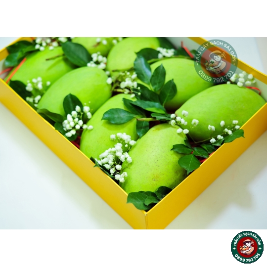 Combo quà tặng số 11 