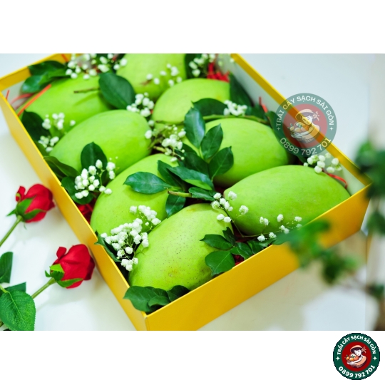Combo quà tặng số 11 