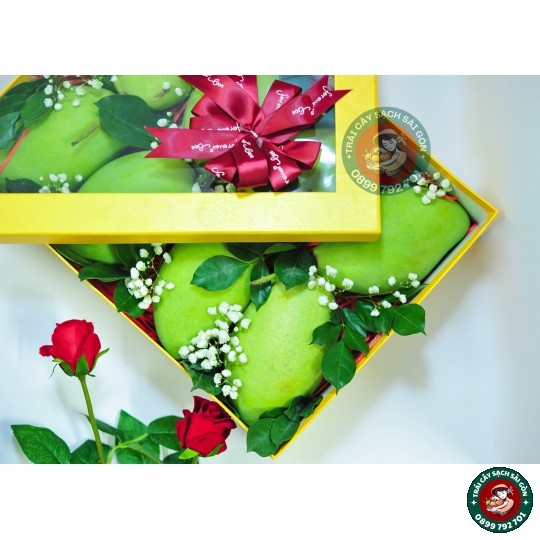 Combo quà tặng số 11 
