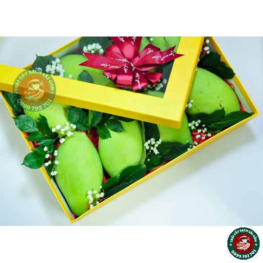 Combo quà tặng số 11 