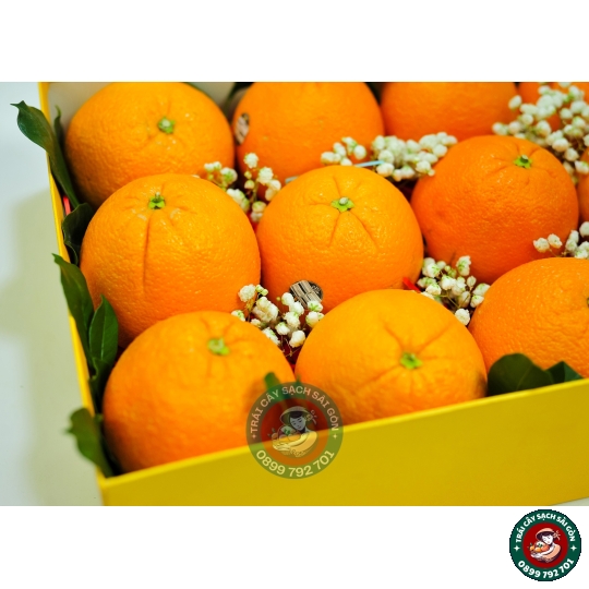 Combo quà tặng số 07 