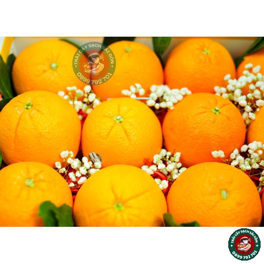 Combo quà tặng số 07 
