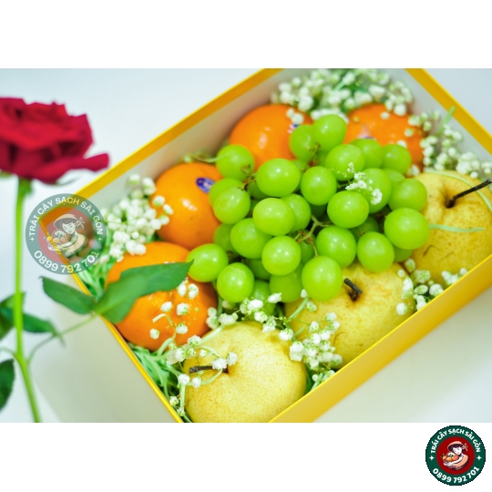 Combo quà tặng số 01