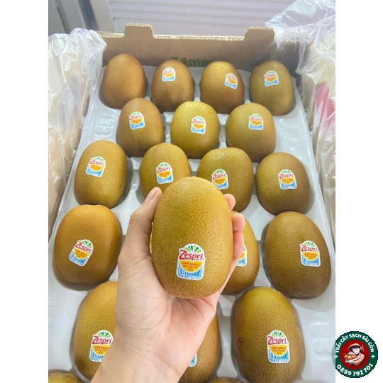 Kiwi vàng