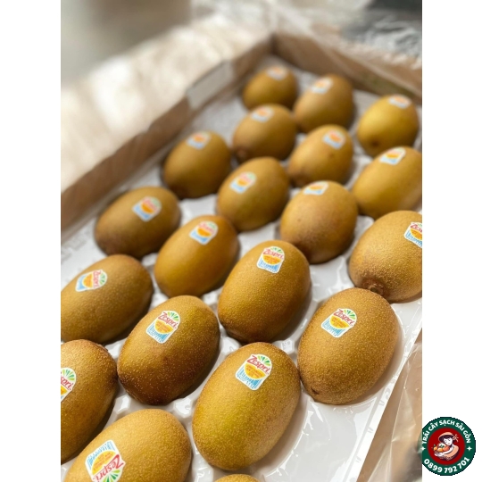 Kiwi vàng