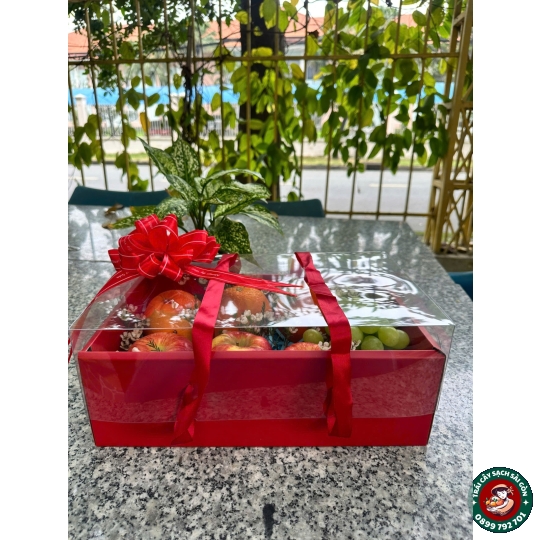 Hộp trái cây biếu tặng số 25